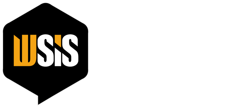 WSIS Informática